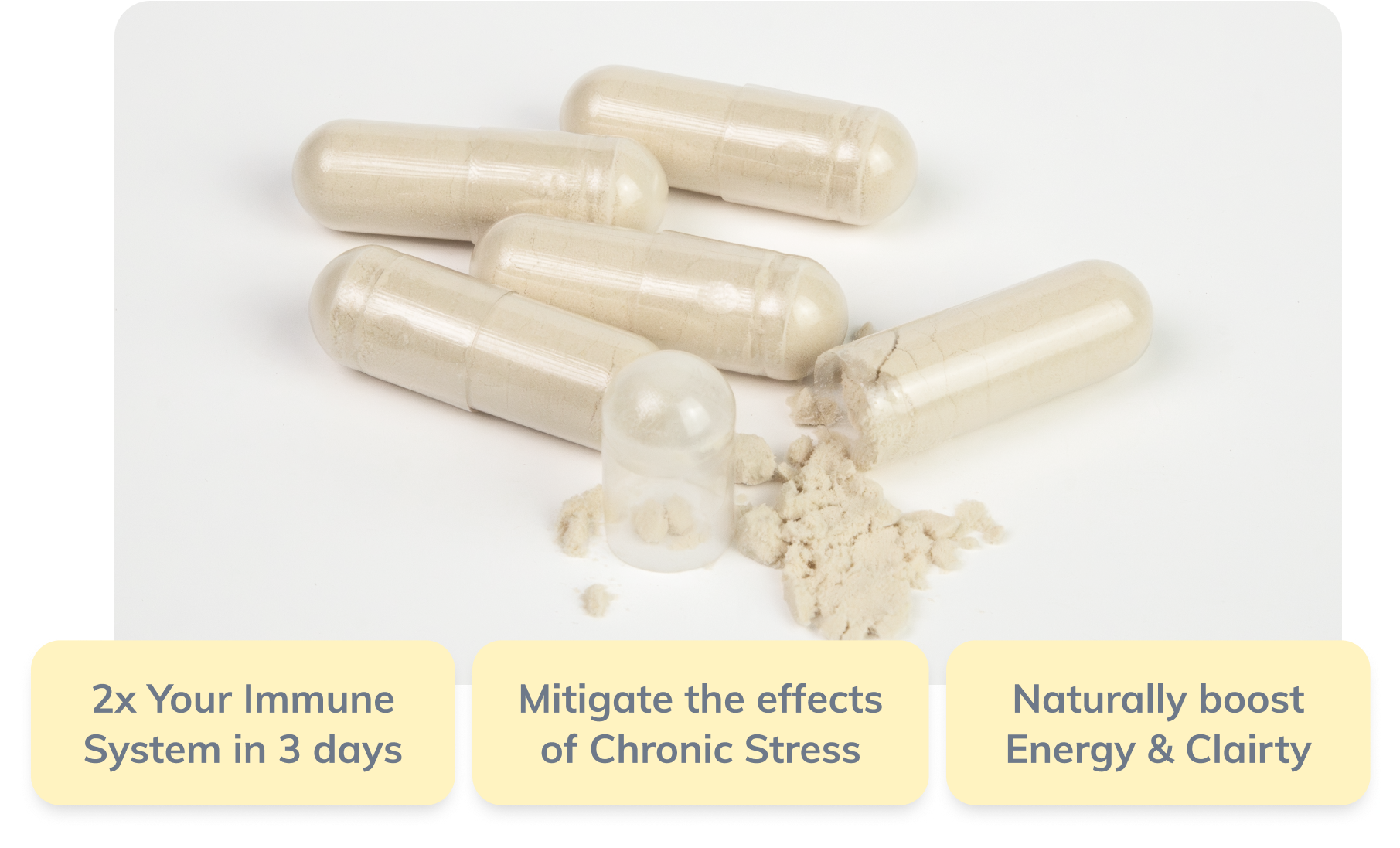 BWH-85® Beta Glucan 100mg
