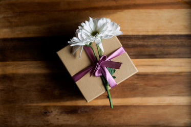 Enjoy your Gift from Mary Travostino